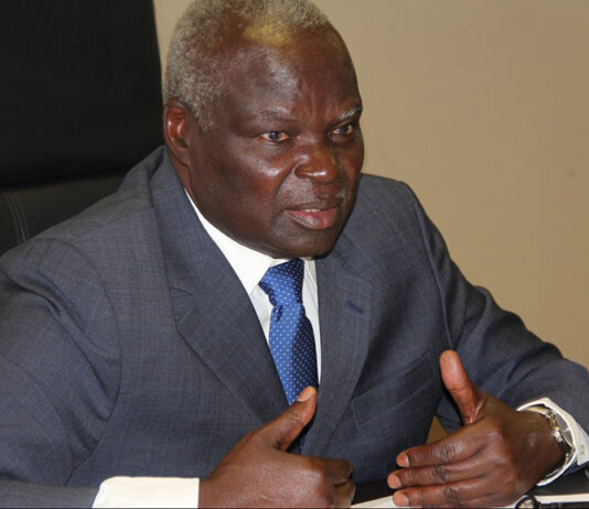 Local Government and Public Works minister July Moyo is accused of interfering in municipalities programmes