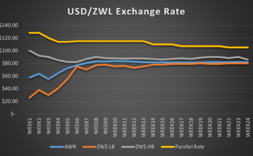 Zim dollar appreciates 0.15% at latest auction Picture28