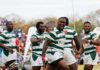 Zimbabwe's senior rugby side, The Sables, have been enjoying a decent run in international matches making the sport popular across the country