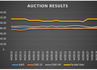 Auction