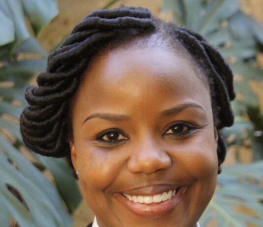 Mahere, Sikhala and Chin'ono have been arrested forpublishing or communicating false statements prejudicial to the state