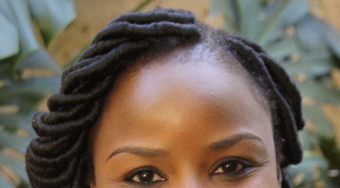 Mahere, Sikhala and Chin'ono have been arrested forpublishing or communicating false statements prejudicial to the state