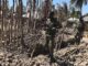 Mozambique Insurgency