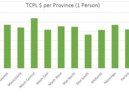 Average Zimbabwean needed US$1.79 per day not to be considered poor in November: Zimstat TCPL