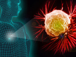 Gvt turns to traditional medicines in fighting cancer Zimbabwe screened 110 000 women for cervical cancer while about 6 000 tested positive and received treatment