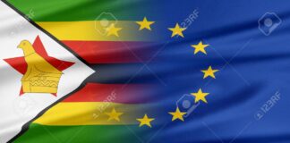 The EU has extended its sanctions against Zimbabwe expressing concern at the lack of substantial reforms leading to continued deterioration of the humanitarian, economic and social situation.