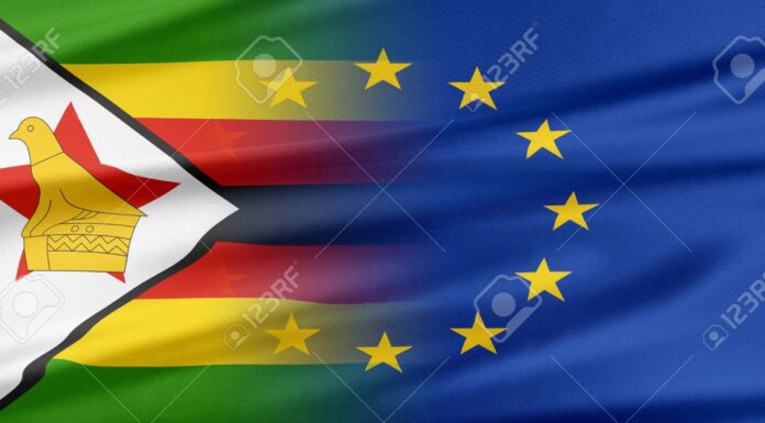 The EU has extended its sanctions against Zimbabwe expressing concern at the lack of substantial reforms leading to continued deterioration of the humanitarian, economic and social situation.