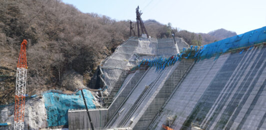 Govt blames towns councils for segregation of duties Gwayi