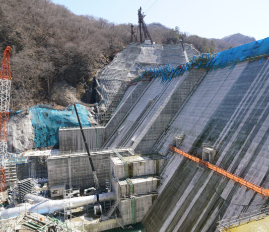 Govt blames towns councils for segregation of duties Gwayi