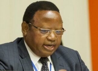 Former Zimbabwean ambassador to the United Nations Frederick Shava has replaced his predecessor and ex-Foreign Affairs and International Trade minister Sibusiso Moyo as Senator for Midlands Province