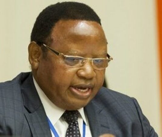 Former Zimbabwean ambassador to the United Nations Frederick Shava has replaced his predecessor and ex-Foreign Affairs and International Trade minister Sibusiso Moyo as Senator for Midlands Province