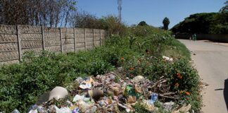 The City of Harare has indicated that it is financially incapacitated to collect garbage piling in most residential areas