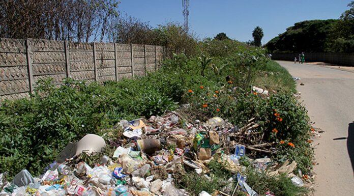 The City of Harare has indicated that it is financially incapacitated to collect garbage piling in most residential areas