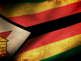 Interviews in the report confirmed the existence of cartels in Zimbabwe