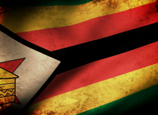 Interviews in the report confirmed the existence of cartels in Zimbabwe
