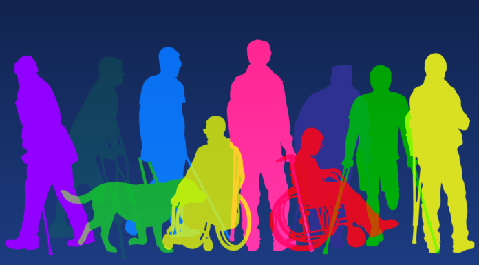 Government's Disability Policy sets standards for the inclusion of people with disabilities in all facets of life