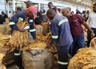 The Tobacco Industry and Marketing Board has ditched unpopular auction floors outside Harare