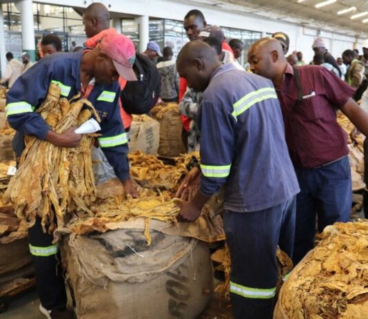 The Tobacco Industry and Marketing Board has ditched unpopular auction floors outside Harare