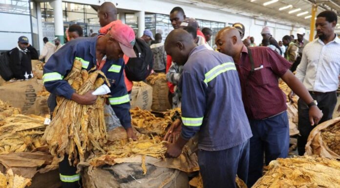 The Tobacco Industry and Marketing Board has ditched unpopular auction floors outside Harare