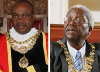 Former Harare mayors Bernard Manyenyeni and Muchadeyi Masunda