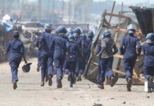 Norton residents have identified a group of corrupt policemen whom they accuse of terrorising them while openly demanding bribes from vendors and pirate taxi operators