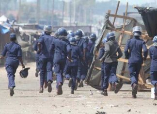 Norton residents have identified a group of corrupt policemen whom they accuse of terrorising them while openly demanding bribes from vendors and pirate taxi operators