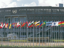 Africa loses 30 million jobs to COVID-19 The Economic Commission for Africa (ECA) recently unveiled findings of a study titled “Energy Prices in Africa: Transition towards Clean Energy for Africa’s Industrialization” indicating that that 600 million people in Africa have no access to electricity while 900 million do not have access to clean cooking fuel.