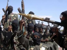 The gathering crisis in Mozambique SADC officials have distance themselves from a leaked strategy paper calling for a 3,000 strong intervention force to defeat Islamist insurgents in Cabo Delgado in Mozambique