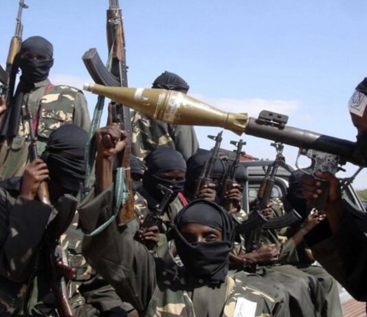 SADC officials have distance themselves from a leaked strategy paper calling for a 3,000 strong intervention force to defeat Islamist insurgents in Cabo Delgado in Mozambique