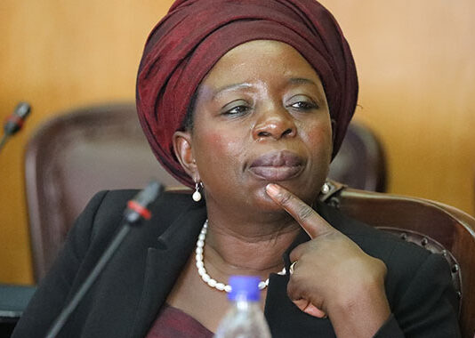 Gvt turns to private sector to improve Agro-Processing Chain Industry and Commerce Minister Sekai Nzenza