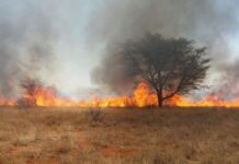 Veld fires remain a major environmental and socio-economic threat to Zimbabwe as the country continues to lose considerable amount of land to veld fires each year