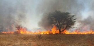 Veld fires remain a major environmental and socio-economic threat to Zimbabwe as the country continues to lose considerable amount of land to veld fires each year