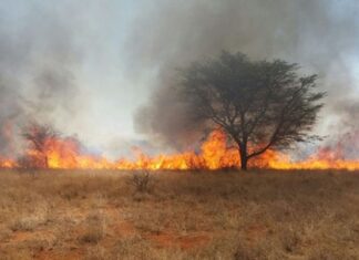 Veld fires remain a major environmental and socio-economic threat to Zimbabwe as the country continues to lose considerable amount of land to veld fires each year