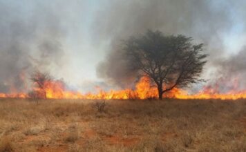 Veld fires remain a major environmental and socio-economic threat to Zimbabwe as the country continues to lose considerable amount of land to veld fires each year