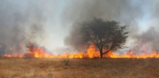 Extreme veld fire risk in Zimbabwe Veld fires remain a major environmental and socio-economic threat to Zimbabwe as the country continues to lose considerable amount of land to veld fires each year