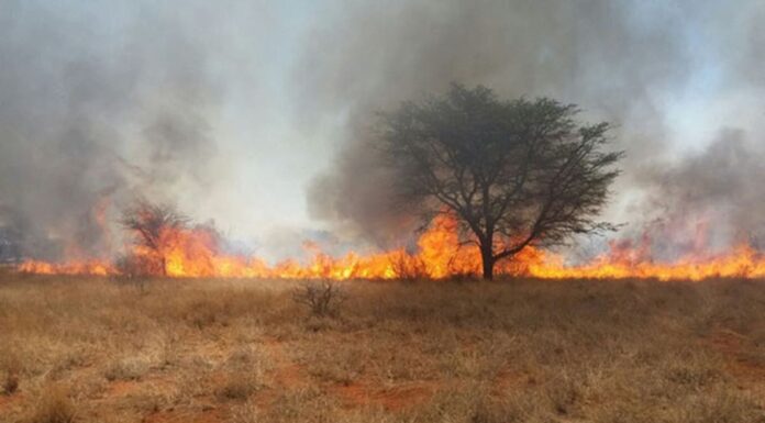 Veld fires remain a major environmental and socio-economic threat to Zimbabwe as the country continues to lose considerable amount of land to veld fires each year