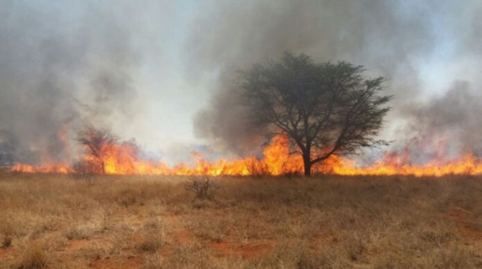 Veld fires remain a major environmental and socio-economic threat to Zimbabwe as the country continues to lose considerable amount of land to veld fires each year