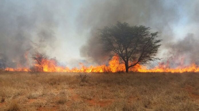 Veld fires Veld fires remain a major environmental and socio-economic threat to Zimbabwe as the country continues to lose considerable amount of land to veld fires each year