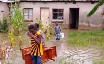 Residential areas destroy 50% Harare wetlands Government is moving in to deal with housing co-operatives that established settlements on wetlands and other irregular areas that have exposed people to weather phenomenon including flooding