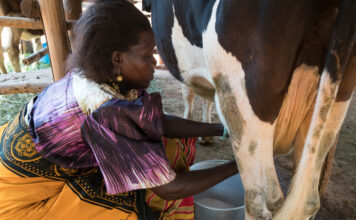 Download: January national milk production statistics