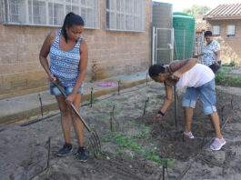 About 2.6 million South Africans have lost their jobs since the COVID-19 pandemic hit