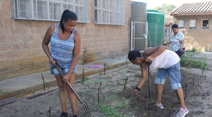 About 2.6 million South Africans have lost their jobs since the COVID-19 pandemic hit