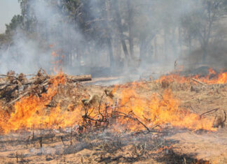 veld fires