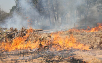 veld fires