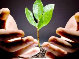 venture capital 1 680x357 1