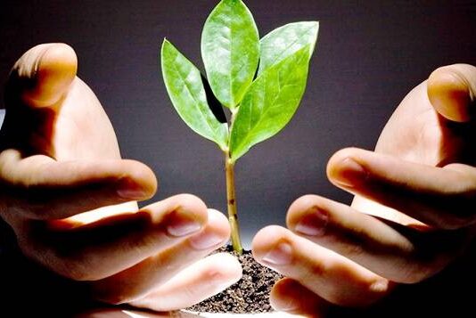 venture capital 1 680x357 1