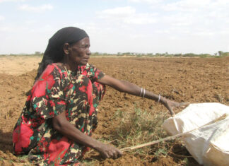 Almost 48 million people in Southern Africa are food insecure with the situation expected to worsen between November this and March 2021