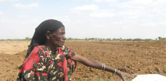 Almost 48 million people in Southern Africa are food insecure with the situation expected to worsen between November this and March 2021