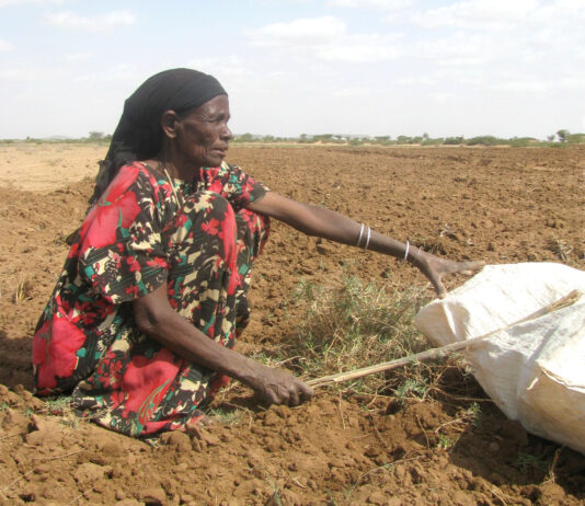 48 million people food insecure – SADC Almost 48 million people in Southern Africa are food insecure with the situation expected to worsen between November this and March 2021