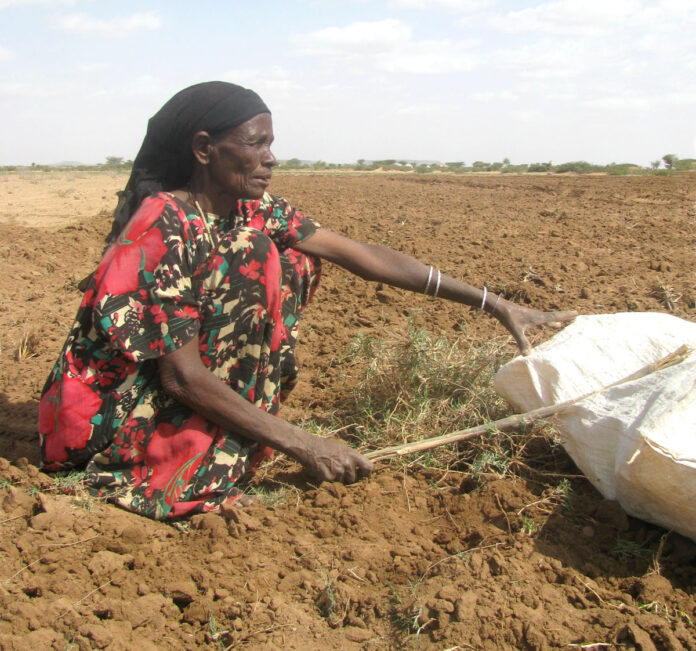 Food 1 Almost 48 million people in Southern Africa are food insecure with the situation expected to worsen between November this and March 2021